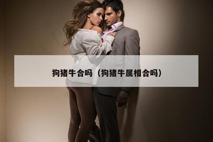 狗猪牛合吗(狗猪牛属相合吗)